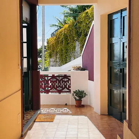 Sunny Escape - -- Silva Upstairs Apartament *